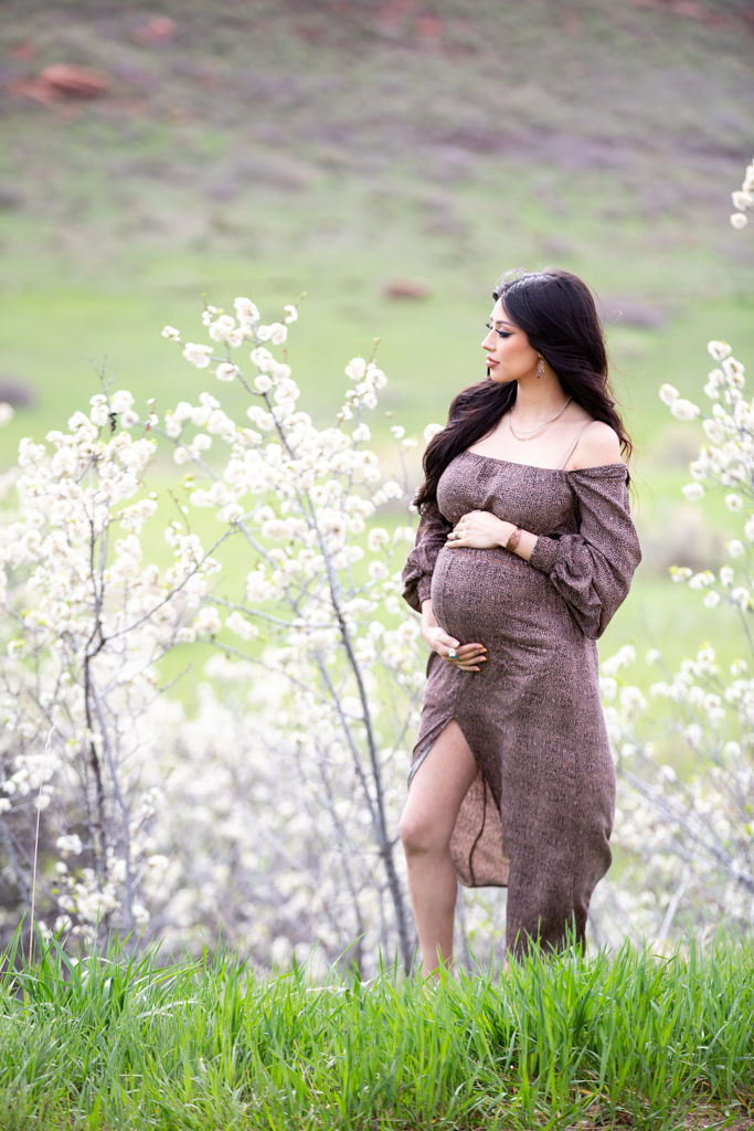 loveland colorado maternity photographer