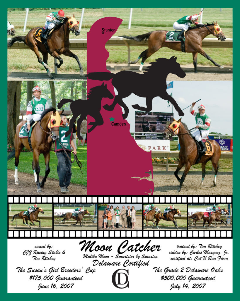 ﻿client: DCTP recipient: The State of Delaware thanking them for supporting horse farms and racing
