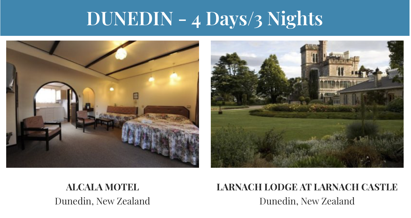 Just Shoot Me Headshots | Story-Driven Headshots & Concept Imaging Drummoyne, Balmain, Hunters Hill, Five Dock, Leichhardt, Haberfield, Concord & Inner West