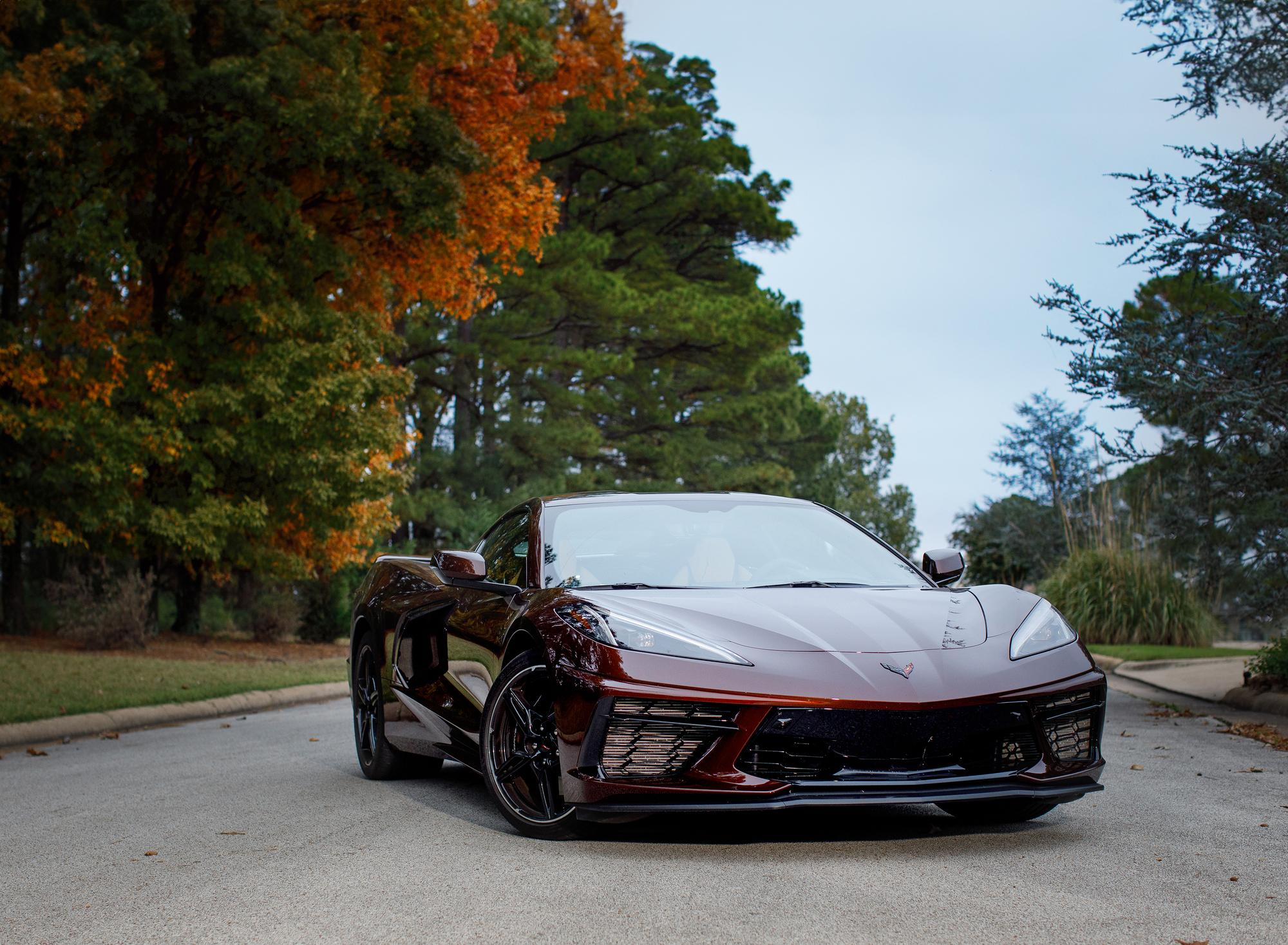 Zane's Vette