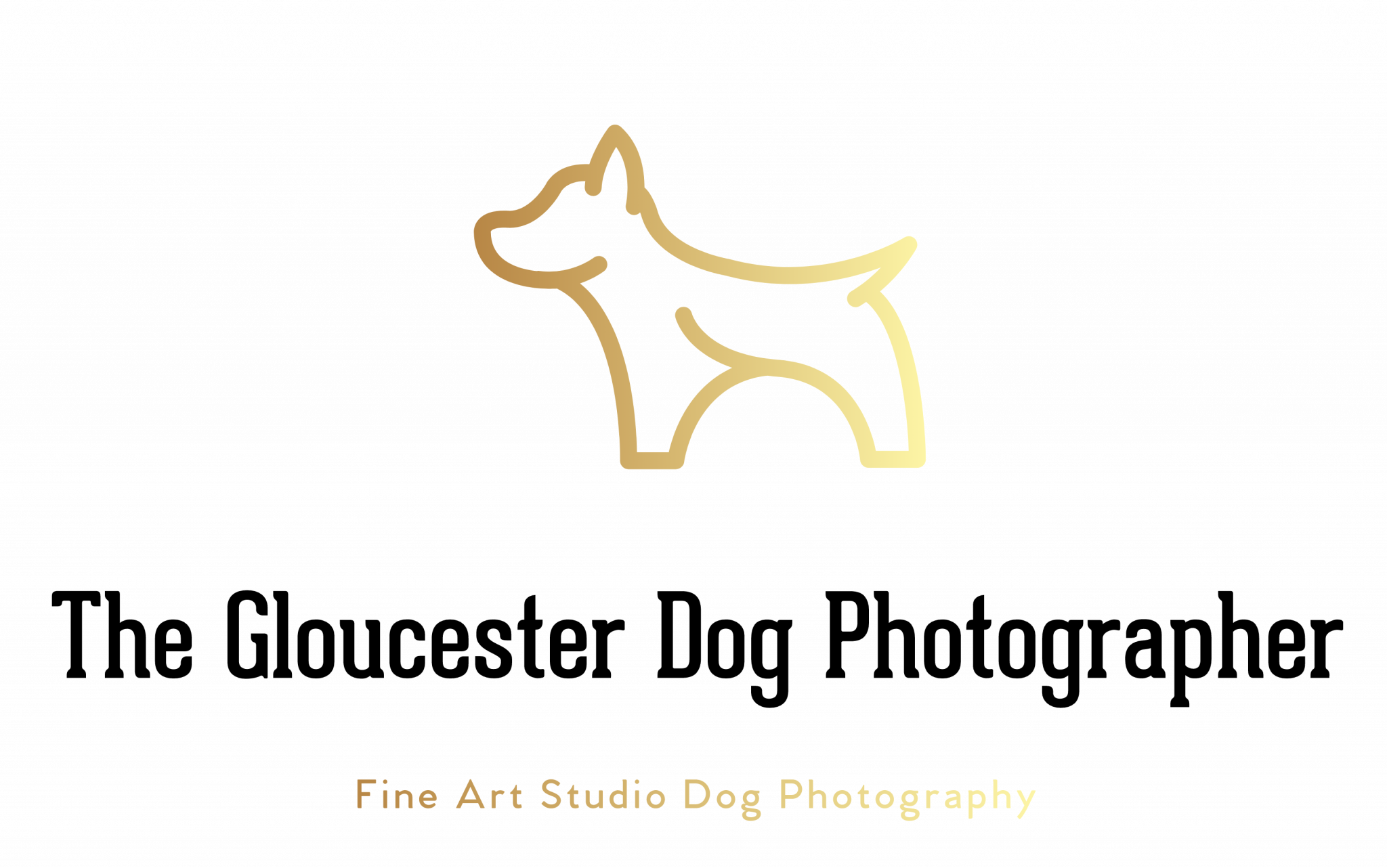 My Portfolio
